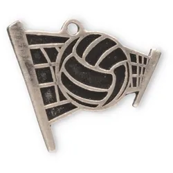 Motivmedaille Volleyball silberfarben