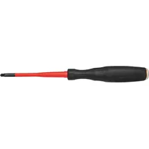 Intercable Plus-Minus Kombischraubendreher +-PZ1-80
