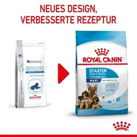 Royal Canin Maxi Starter 15 kg