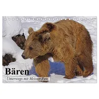 Calvendo Bären. Unterwegs mit Meister Petz (Tischkalender 2026 DIN