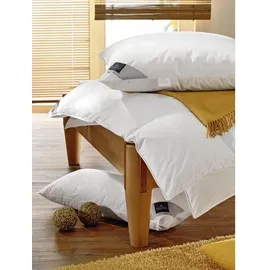 billerbeck Kissen Classic Organic 40 x 80 cm Weiß