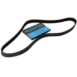 DAYCO Keilrippenriemen