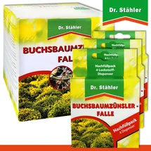 Dr. Stähler Buchsbaumzünsler-Falle 3 x Nachfüllpack