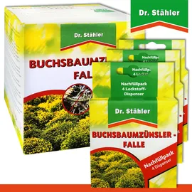 Dr. Stähler Buchsbaumzünsler-Falle 3 x Nachfüllpack
