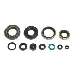 Satz Dichtringe Motor Kawasaki KX 250