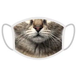 FERA Schutzmaske Katze