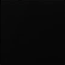 vidaXL Wassertank 250 l schwarz