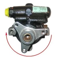 Lizarte Hydraulikpumpe,