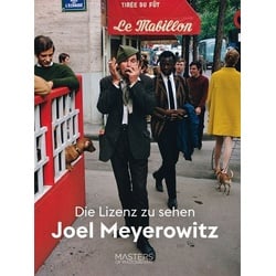 Lizenz zu sehen: Joel Meyerowitz