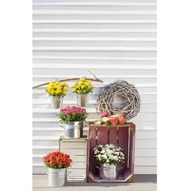 Dehner Zinktopf mit Bügelhalter, rund, silber