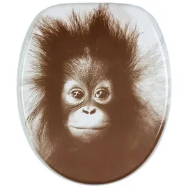 Sanilo Alfred mit Absenkautomatik Braun