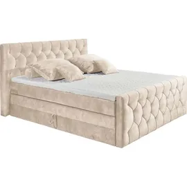 ed exciting design Boxspringbett Cashfield ¦ creme ¦ Maße cm B: 200 H: 113