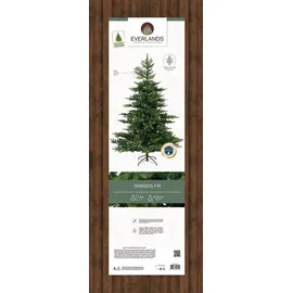 Kaemingk Everlands Künstlicher Weihnachtsbaum Grandis Tanne 681451 180cm