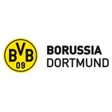 wall-art Wandtattoo »BVB Borussia Schriftzug mit Logo«, (1 St.), bunt