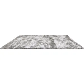 Astra Paulie 250 Hochflor-Teppich 80 x 150 cm Silber