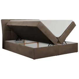 MKS Meble Boxspringbett 140x200 mit Matratze, Bett mit Multipocket - Matratze H4 und Topper, Polsterbett 140x200 mit Bettkasten und Kopfteil, DIEGOS - 140x20... - Braun