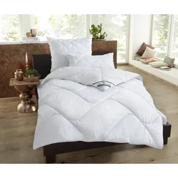 fan Microfaserbettdecke »Microfaser kochfest«, 4-Jahreszeiten, (1 St.), ideale Wärmeisolierung und effektiver Feuchtigkeitstransport fan weiß B/L: 140 cm x 200 cm