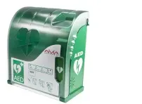 Holthaus Medical Wandkasten für Defibrillator mit Alarm, grün 86017 , 1 Wandkasten, leer ohne Füllung