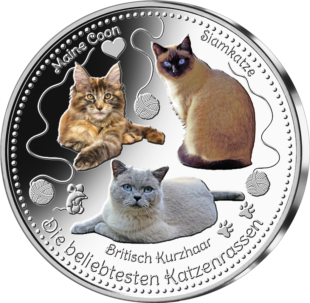 Die drei Top-Katzenrassen auf einer Silberprägung!