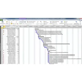 Microsoft Project Standard 2010 ESD DE Win