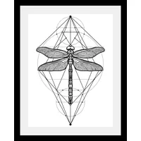 queence Bild »Libelle«, in 3 Größen, gerahmt, schwarz