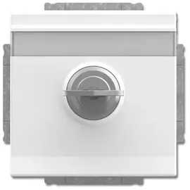 Busch-Jaeger Schuko-Steckdose 20 EUKNBSL-84-101 Studioweiß