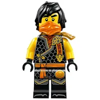 LEGO® LEGO Ninjago: Cole (Dragons Rising, S2) Spielbausteine