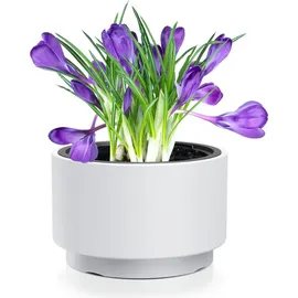 Prosperplast HEOS DLHEN470 46,5 x 46,5 x 29,5 cm Weiß