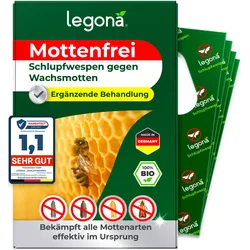 Schlupfwespen gegen Wachsmotten