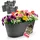 BigDean Blumenkasten 50 x 30 x 24 cm Anthrazit