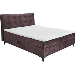 Boxbett ED EXCITING DESIGN "Melrose", lila (aubergine), B:182cm L:210cm, 100% Polyester, Komplettbetten, Boxspringbett, inkl. Topper