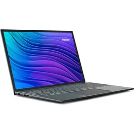 Medion E16443, Grau, (16 Zoll) Full-HD+, IPS, (Intel Core i7-13620H, 1 TB SSD, 16GB DDR5 RAM, 16:10 Display, Full HD Webcam, WLAN, Win 11 Home)