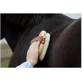 Grooming Deluxe Grooming Deluxe, Pferdeputzzeug