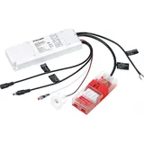 THORNeco Thorneco, LED-Notlicht-Treiber Just E3 Pl #96634428