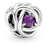 PANDORA Februar Geburtsstein Violetter Ewigkeitskreis Charm aus Sterling-Silber mit Kristallen, 790065C02