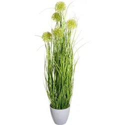 CREATIV green künstliche Pflanze Grasbusch mit  Allium x5,grün ca 80cm, im Melamintopf weiß 14x13cm