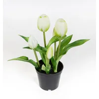 Seidenblumen Roß Tulpen Real Touch 24cm im Topf ZF