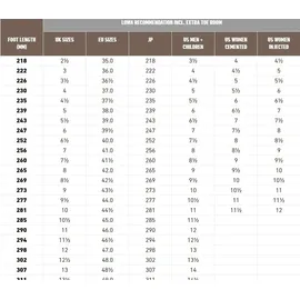 Lowa Innox Evo II GTX anthrazit/bronze