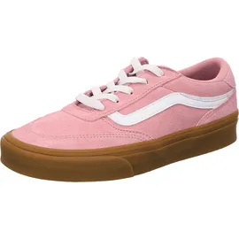 Vans Brooklyn LS Damen Pink 37