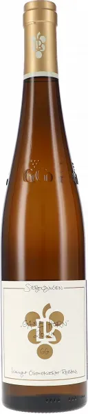 Riesling Ganz Horn GG Ökonomierat Rebholz 2024 BIO