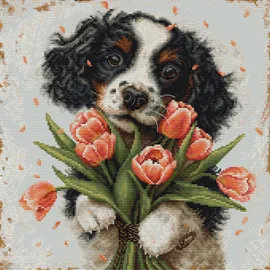 Luca-S Kreuzstich Stickpackung Der Cocker Spaniel-Welpe, Zählmuster