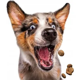 Josera Mini Deluxe 900 g