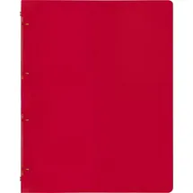 Baier & Schneider FACT! DIN A4 16 mm Rot 1 St.