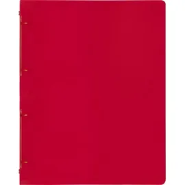 Baier & Schneider FACT! DIN A4 16 mm Rot 1 St.