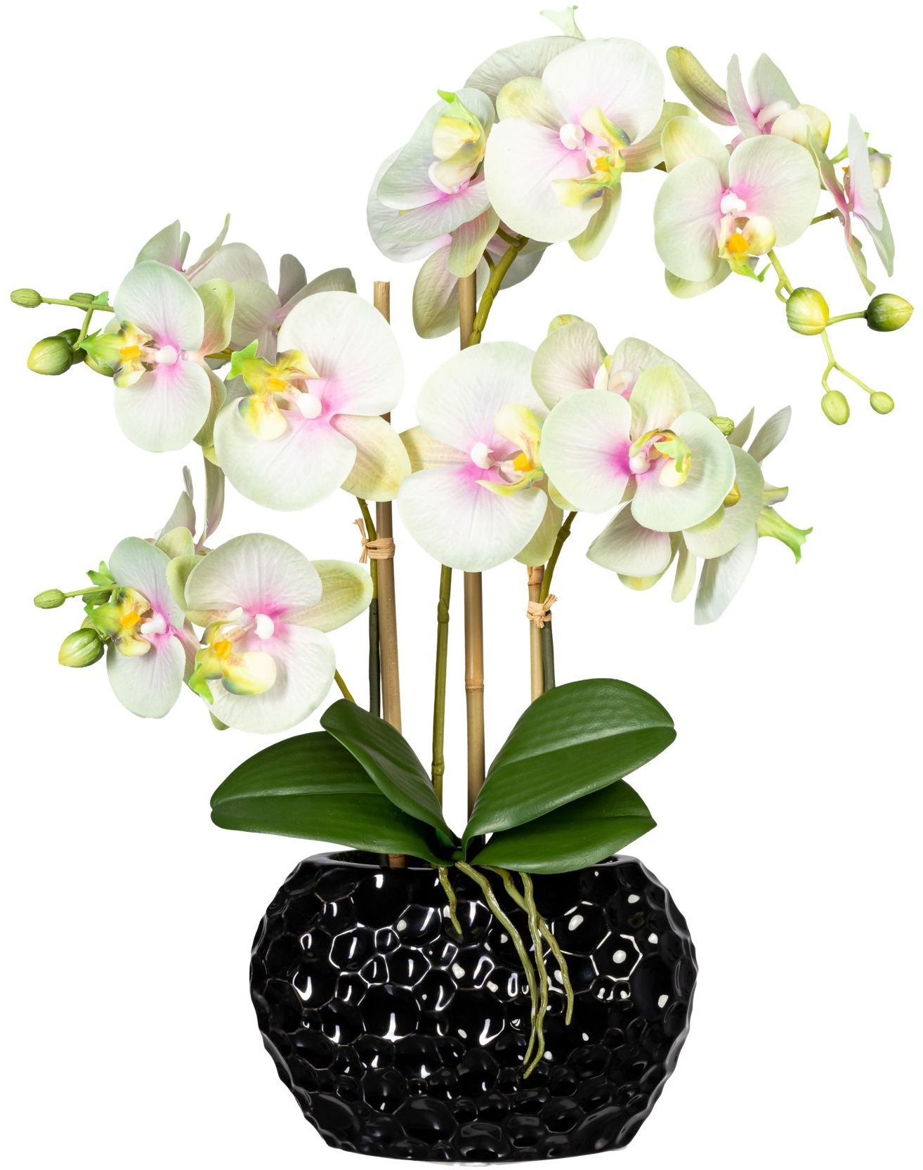 Kunstorchidee Phalaenopsis In Keramikvase  55 Cm  4 Blütenzweige (Farbe: Grün)