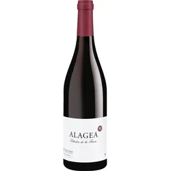 Alagea Valencia DO 2022, Bio Rotwein, Biowein
