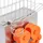 Royal Catering Orangenpresse halb automatisch 120 W 20 Orangen/min Zitruspresse Entsafter, Orange