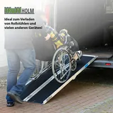 Baumarktplus TRUTZHOLM Auffahrrampe 2-fach klappbar 213 cm Traglast 272 kg Alu grau schwarz beschichtet