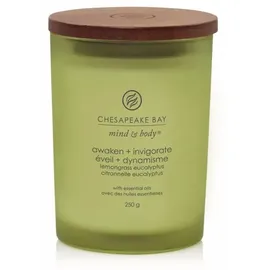 Chesapeake Bay Candle Awaken & Invigorate Duftkerze 250 g grün