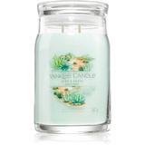 Yankee Candle Aloe & Agave Duftkerze 567 g